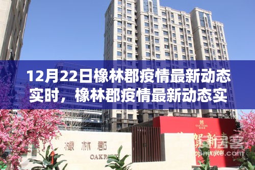 橡林郡疫情最新動(dòng)態(tài)追蹤，智能監(jiān)控產(chǎn)品引領(lǐng)抗疫新時(shí)代，12月22日實(shí)時(shí)更新