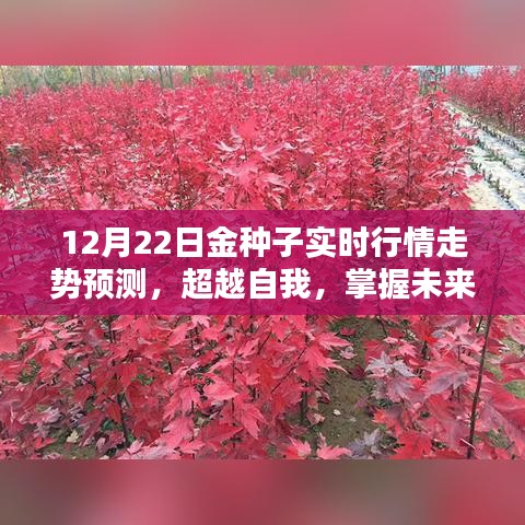 超越自我，掌握未來，金種子實時行情走勢預(yù)測與勵志篇章揭秘