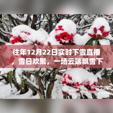 云端飄雪下的歡聚時光，12月22日實時下雪直播日常