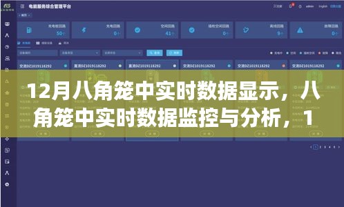 12月八角籠中實時數(shù)據(jù)監(jiān)控與分析，操作指南及數(shù)據(jù)解讀
