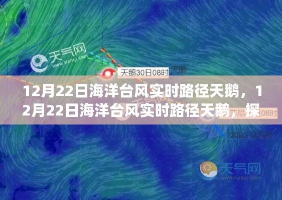 探尋臺風天鵝的神秘之旅，最新實時路徑追蹤報告（12月22日）