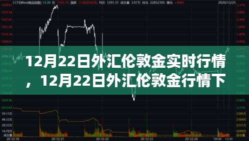 12月22日外匯倫敦金行情下的心靈之旅，探尋自然寶藏，擁抱內(nèi)心寧?kù)o