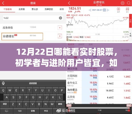 12月22日實(shí)時(shí)股票行情查看指南，適合初學(xué)者與進(jìn)階用戶的詳細(xì)步驟