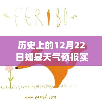 歷史上的今天，如皋天氣預(yù)報實(shí)時溫度回顧與氣候交匯點(diǎn)