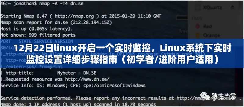 Linux系統(tǒng)實(shí)時監(jiān)控設(shè)置指南，從初學(xué)者到進(jìn)階用戶的詳細(xì)步驟（12月22日更新）