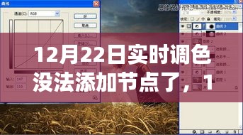 12月22日實時調(diào)色功能受限，性能、體驗與競品對比深度解析
