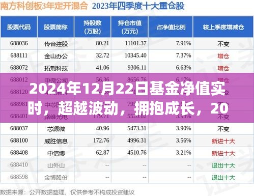 揭秘基金凈值背后的故事，超越波動(dòng)，擁抱成長(zhǎng)，探尋2024年12月22日基金凈值實(shí)時(shí)動(dòng)態(tài)