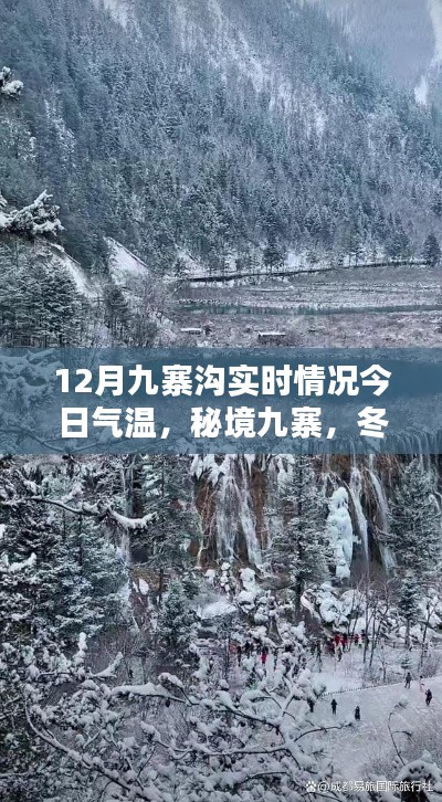 秘境九寨冬日探秘，今日氣溫與十二月九寨溝實時情況揭秘
