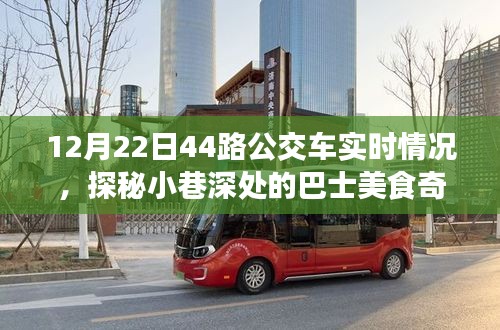 探秘美食奇遇，12月22日44路公交車的美食之旅實況播報