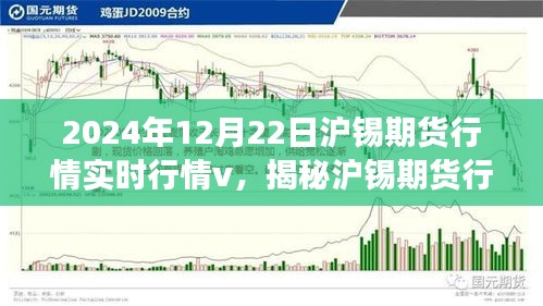 揭秘滬錫期貨行情，深度解讀實時走勢與市場機遇挑戰(zhàn)（2024年12月22日）