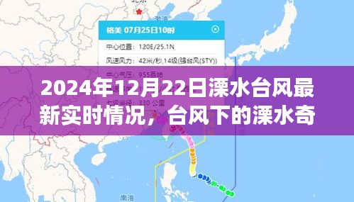 臺風(fēng)下的溧水奇遇，親歷與自然的親密接觸（實(shí)時更新）