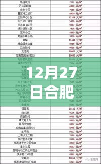 合肥熱門(mén)音樂(lè)報(bào)價(jià)表背后的自然之旅，尋找心靈的寧?kù)o與和諧在12月27日