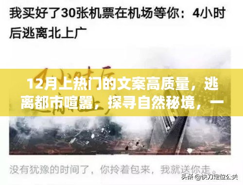 探尋自然秘境，心靈之旅，逃離都市喧囂的十二月熱門文案