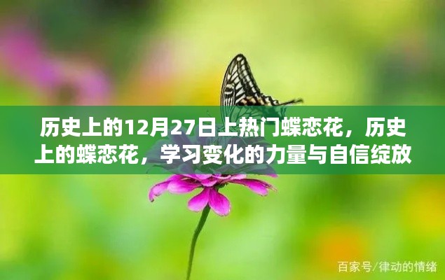 歷史上的蝶戀花，綻放旋律與變化力量的自信篇章