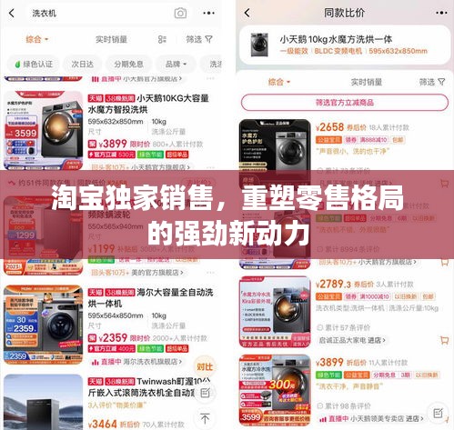 淘寶獨(dú)家銷售，重塑零售格局的強(qiáng)勁新動力
