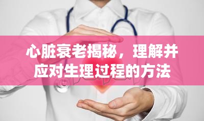 心臟衰老揭秘，理解并應(yīng)對生理過程的方法