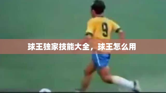 球王獨家技能大全，球王怎么用 