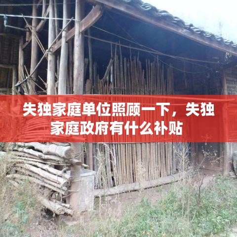 失獨家庭單位照顧一下，失獨家庭政府有什么補貼 