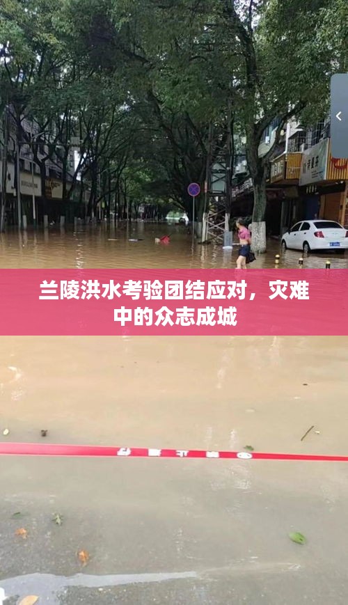蘭陵洪水考驗團(tuán)結(jié)應(yīng)對，災(zāi)難中的眾志成城
