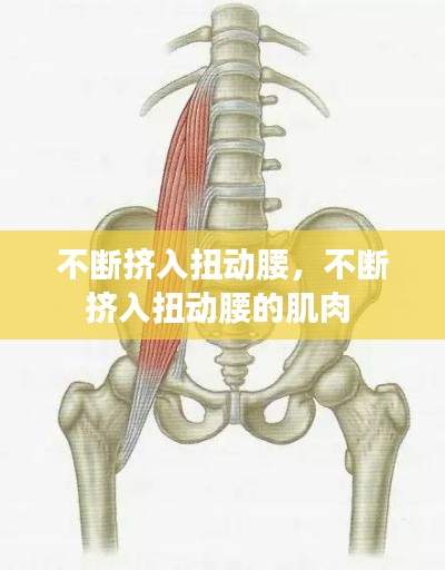 不斷擠入扭動(dòng)腰，不斷擠入扭動(dòng)腰的肌肉 