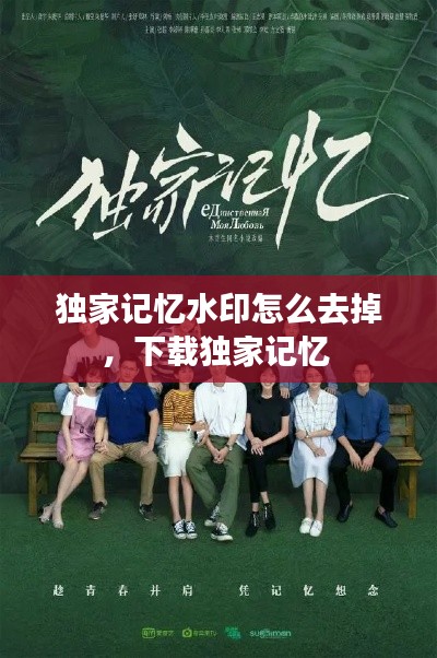 獨(dú)家記憶水印怎么去掉，下載獨(dú)家記憶 