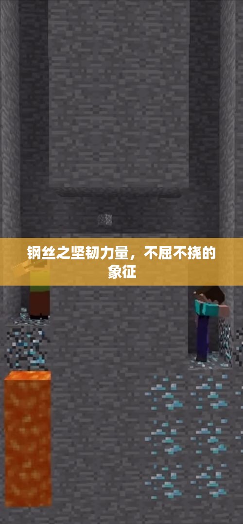 鋼絲之堅(jiān)韌力量，不屈不撓的象征