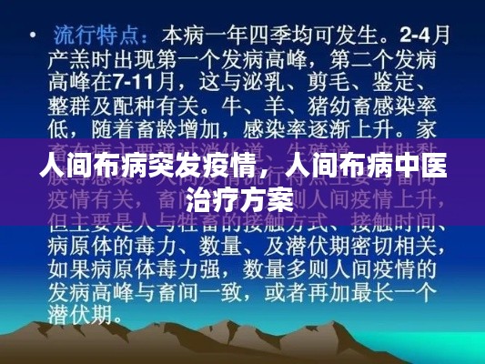 人間布病突發(fā)疫情，人間布病中醫(yī)治療方案 