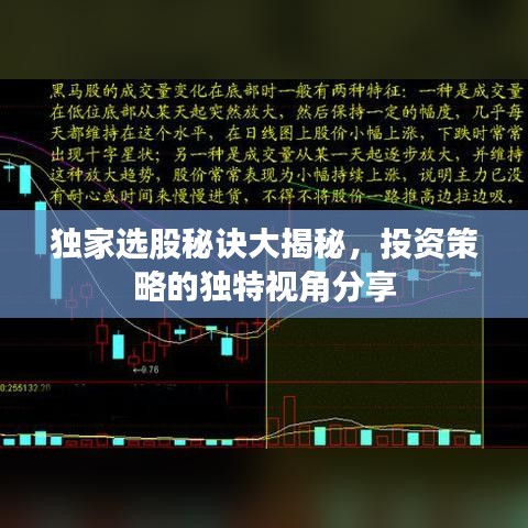 獨(dú)家選股秘訣大揭秘，投資策略的獨(dú)特視角分享