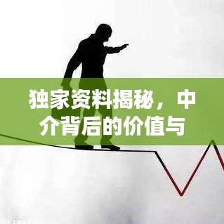 獨家資料揭秘，中介背后的價值與操作策略探討