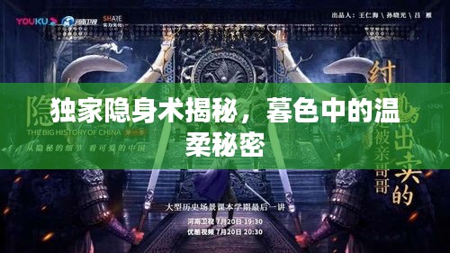 獨(dú)家隱身術(shù)揭秘，暮色中的溫柔秘密