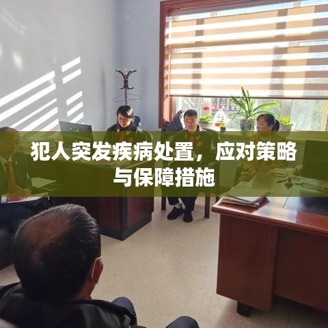 犯人突發(fā)疾病處置，應(yīng)對策略與保障措施