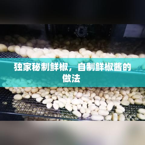 獨(dú)家秘制鮮椒，自制鮮椒醬的做法 