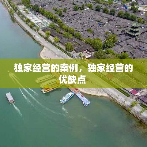 獨(dú)家經(jīng)營(yíng)的案例，獨(dú)家經(jīng)營(yíng)的優(yōu)缺點(diǎn) 