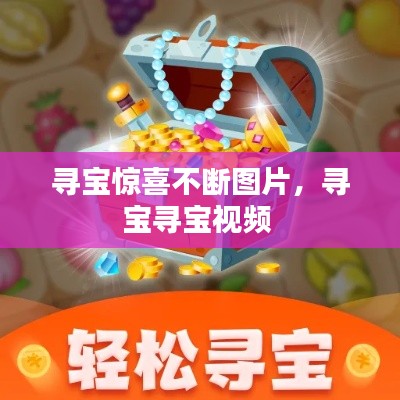 尋寶驚喜不斷圖片，尋寶尋寶視頻 