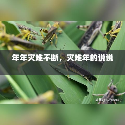 年年災(zāi)難不斷，災(zāi)難年的說(shuō)說(shuō) 