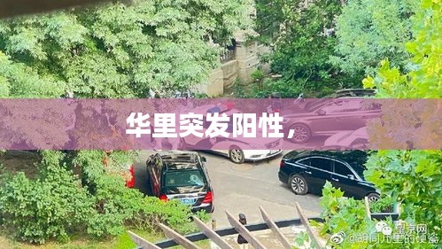 華里突發(fā)陽性， 