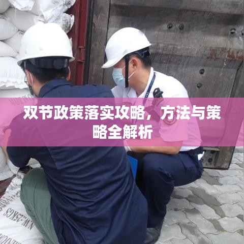 雙節(jié)政策落實攻略，方法與策略全解析