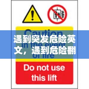 遇到突發(fā)危險英文，遇到危險翻譯 