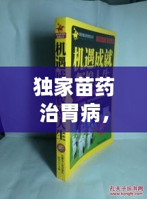 獨(dú)家苗藥治胃病，古老智慧綻放現(xiàn)代光芒