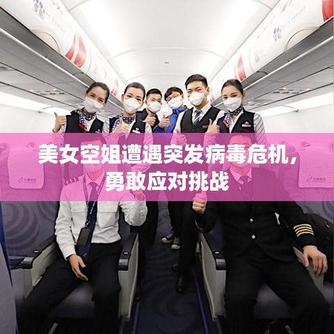 美女空姐遭遇突發(fā)病毒危機(jī)，勇敢應(yīng)對(duì)挑戰(zhàn)
