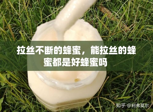 拉絲不斷的蜂蜜，能拉絲的蜂蜜都是好蜂蜜嗎 