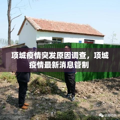項(xiàng)城疫情突發(fā)原因調(diào)查，項(xiàng)城疫情最新消息管制 