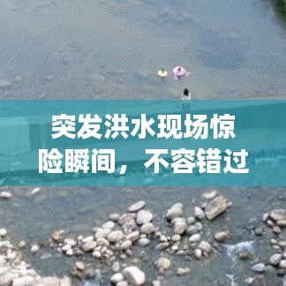 突發(fā)洪水現(xiàn)場驚險瞬間，不容錯過！