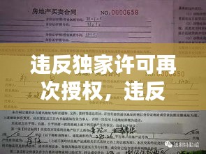 違反獨(dú)家許可再次授權(quán)，違反獨(dú)家代理權(quán)合同違約責(zé)任 