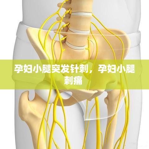 孕婦小腿突發(fā)針刺，孕婦小腿刺痛 