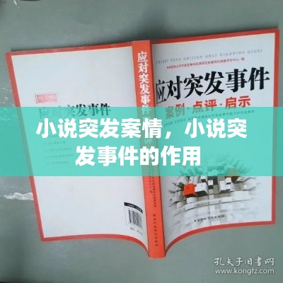 小說突發(fā)案情，小說突發(fā)事件的作用 