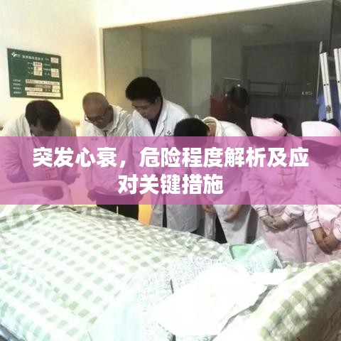 突發(fā)心衰，危險程度解析及應(yīng)對關(guān)鍵措施