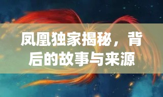 鳳凰獨家揭秘，背后的故事與來源探秘