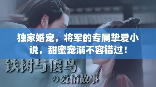 獨家婚寵，將軍的專屬摯愛小說，甜蜜寵溺不容錯過！
