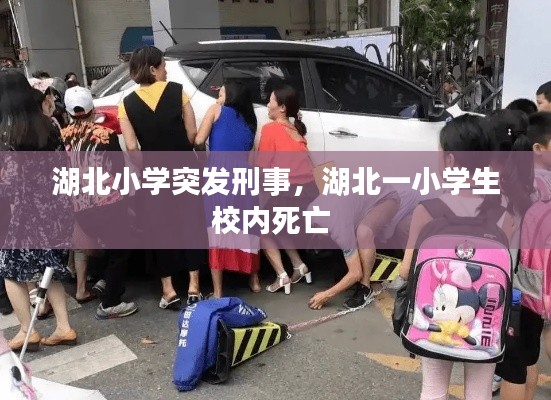 湖北小學(xué)突發(fā)刑事，湖北一小學(xué)生校內(nèi)死亡 